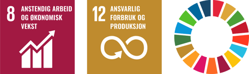 FNs bærekraftsmål 8 og 12
