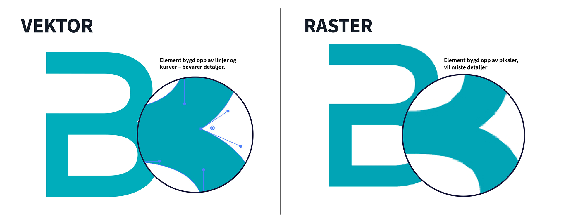 Vektor vs raster